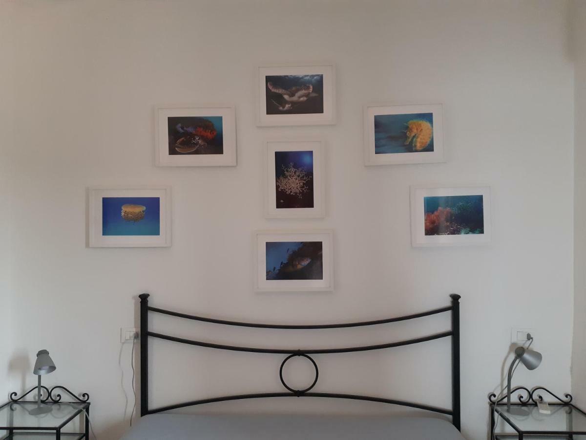 Campese Apartments Dış mekan fotoğraf