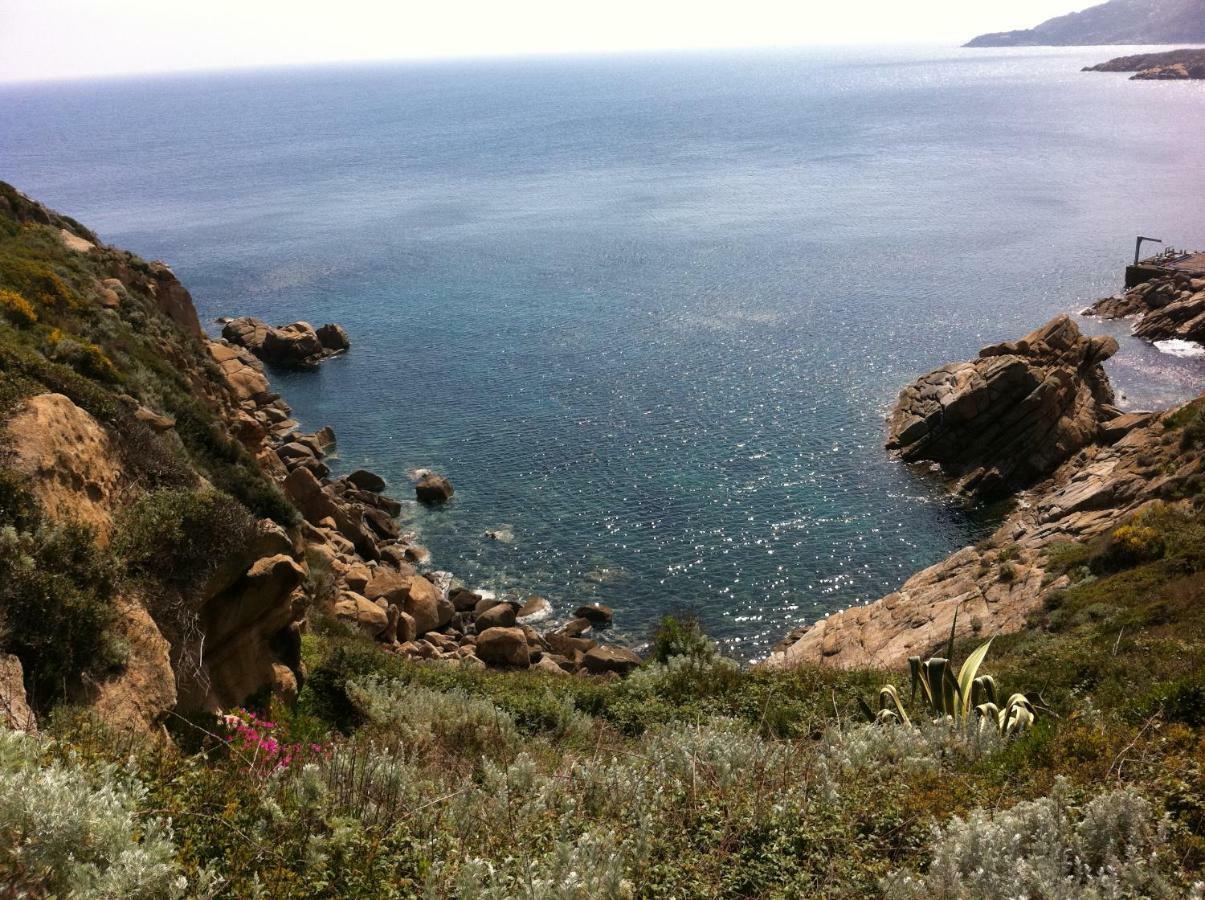 Campese Apartments Dış mekan fotoğraf